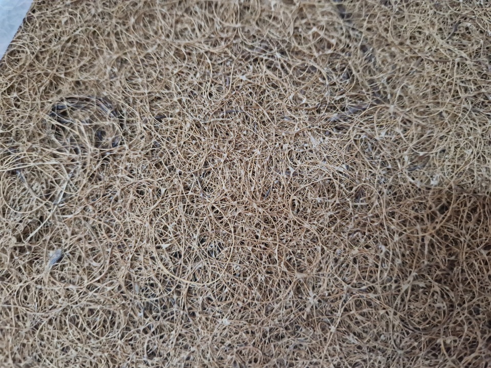 Sitzfederkern für Merc. 190 SL rechts