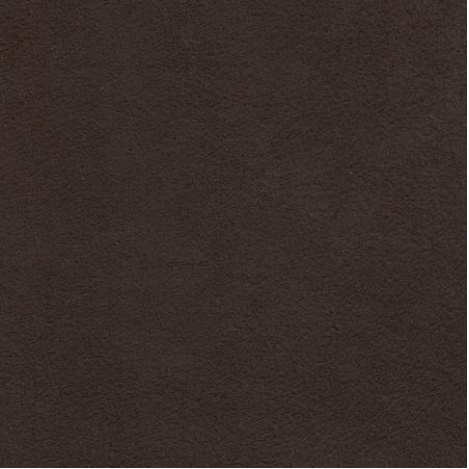 Dinamica Expresso M2010