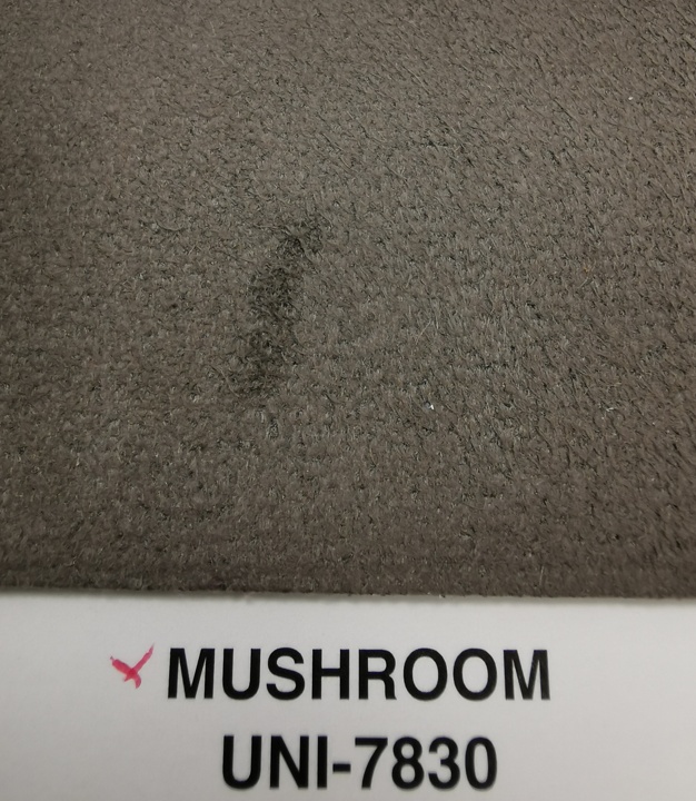 Microfaser Mushroom