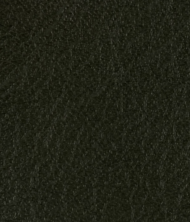 Kunstleder BMW Pine Green