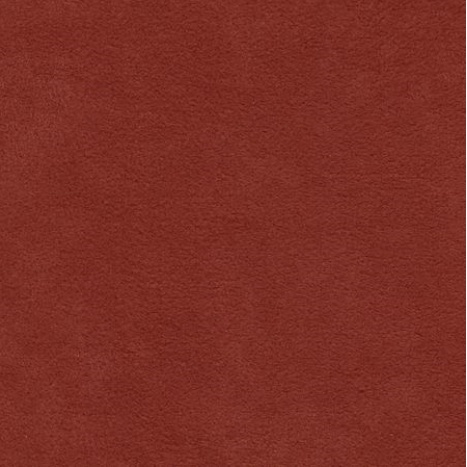 Dinamica braunrot M2010