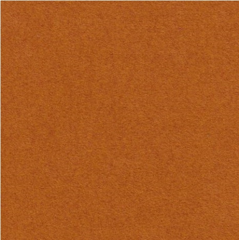 Dinamica braunrot M2020