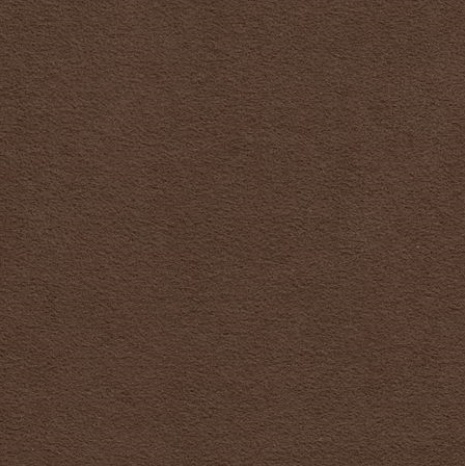 Dinamica Brown M2010