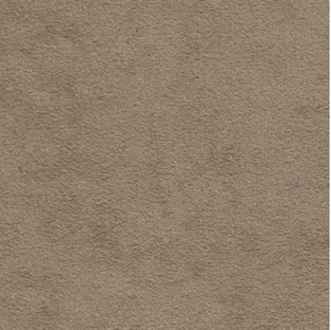 Dinamica fahlgrau  M2010