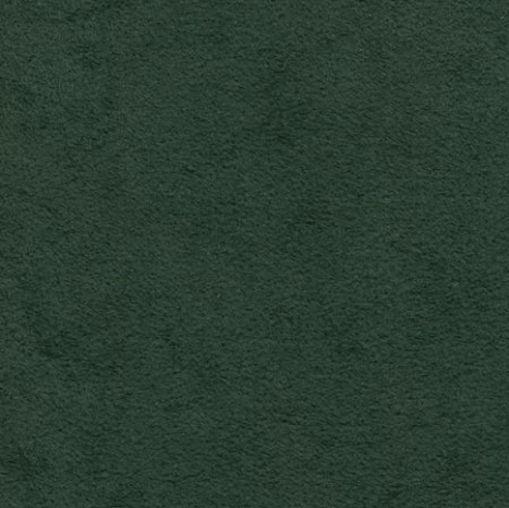 Dinamica forest M2010