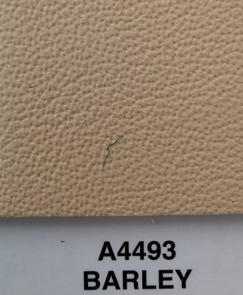 A4493 Barley