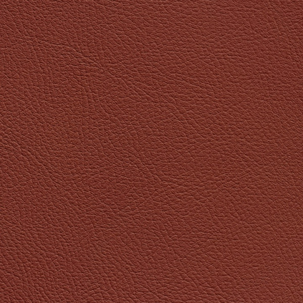CHANCE cognac