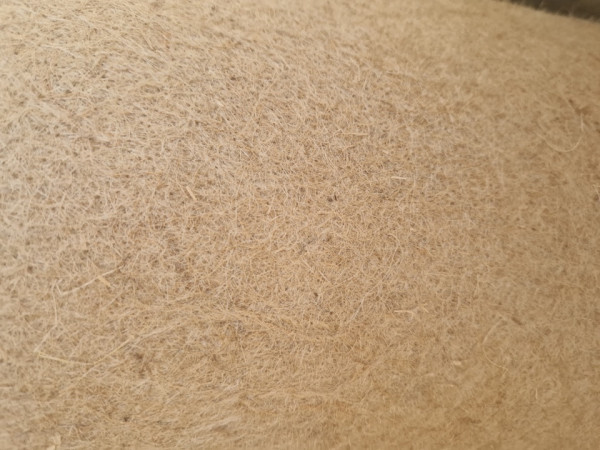 20240625_075110
